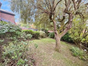 Garden- click for photo gallery